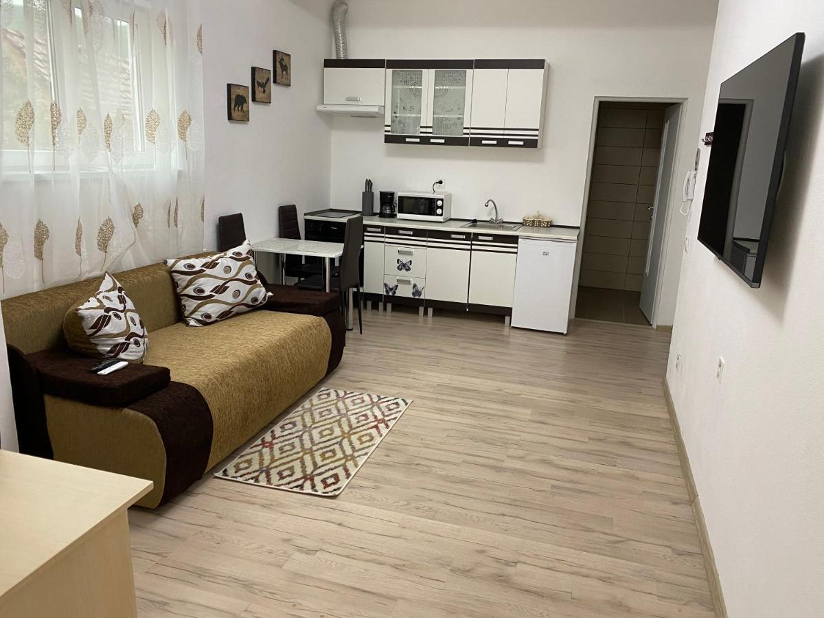 Centralhome Ap1 Sighişoara Eksteriør billede