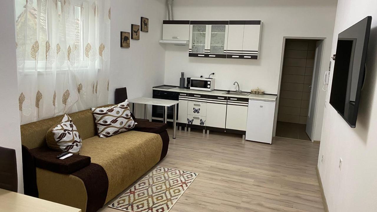 Centralhome Ap1 Sighişoara Eksteriør billede
