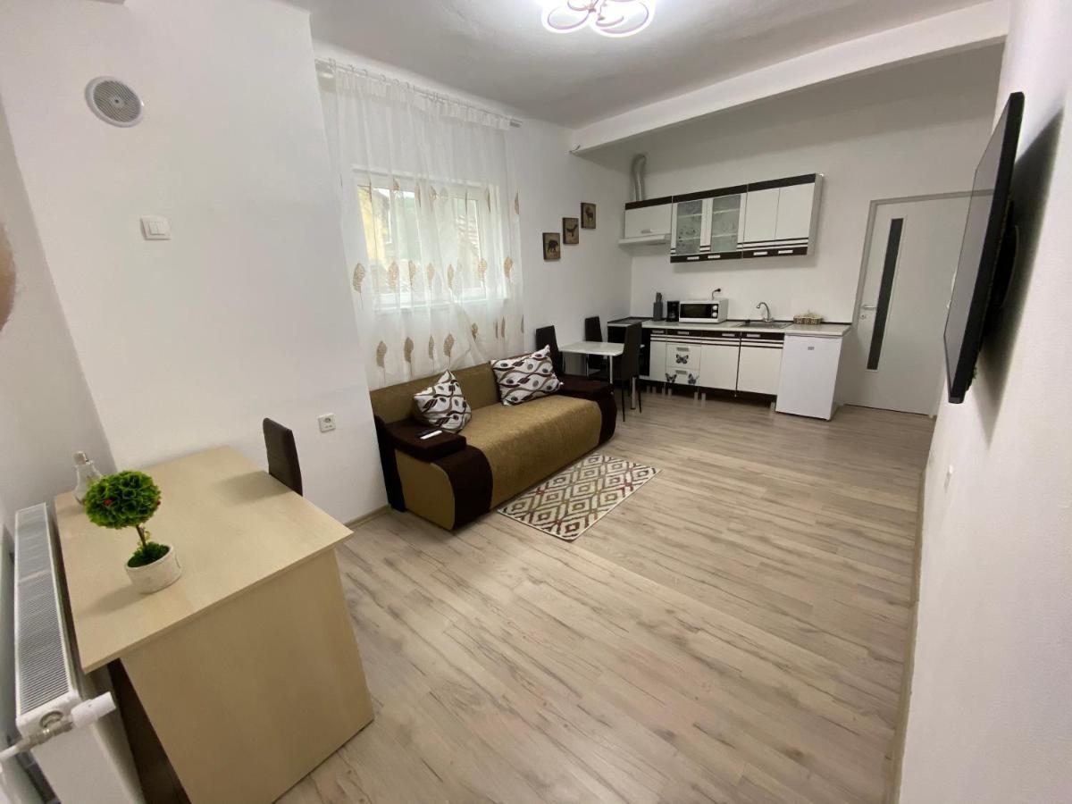Centralhome Ap1 Sighişoara Eksteriør billede